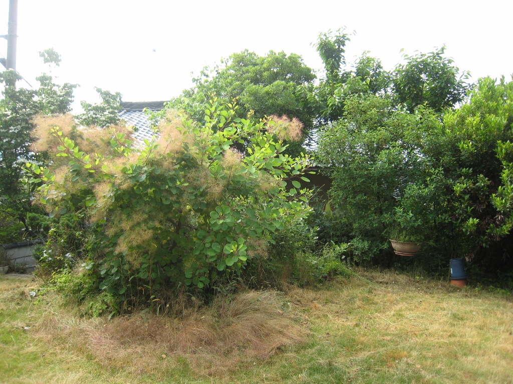Thumbnail of post image 062