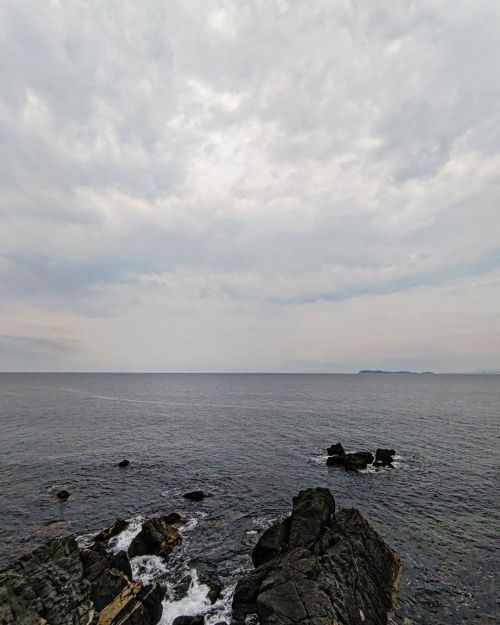 Thumbnail of post image 121