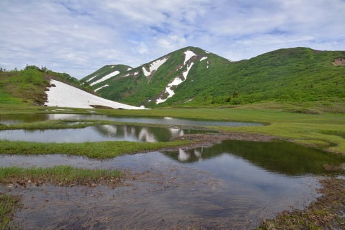 Thumbnail of post image 145