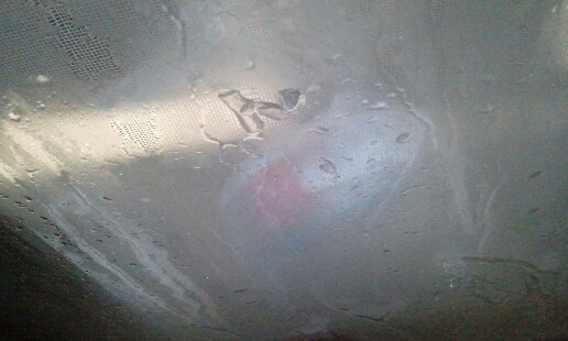 Thumbnail of post image 009