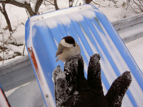 Thumbnail of post image 056