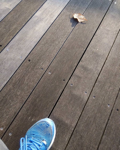 Thumbnail of post image 151