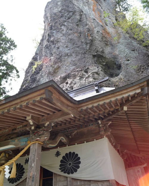 Thumbnail of post image 114