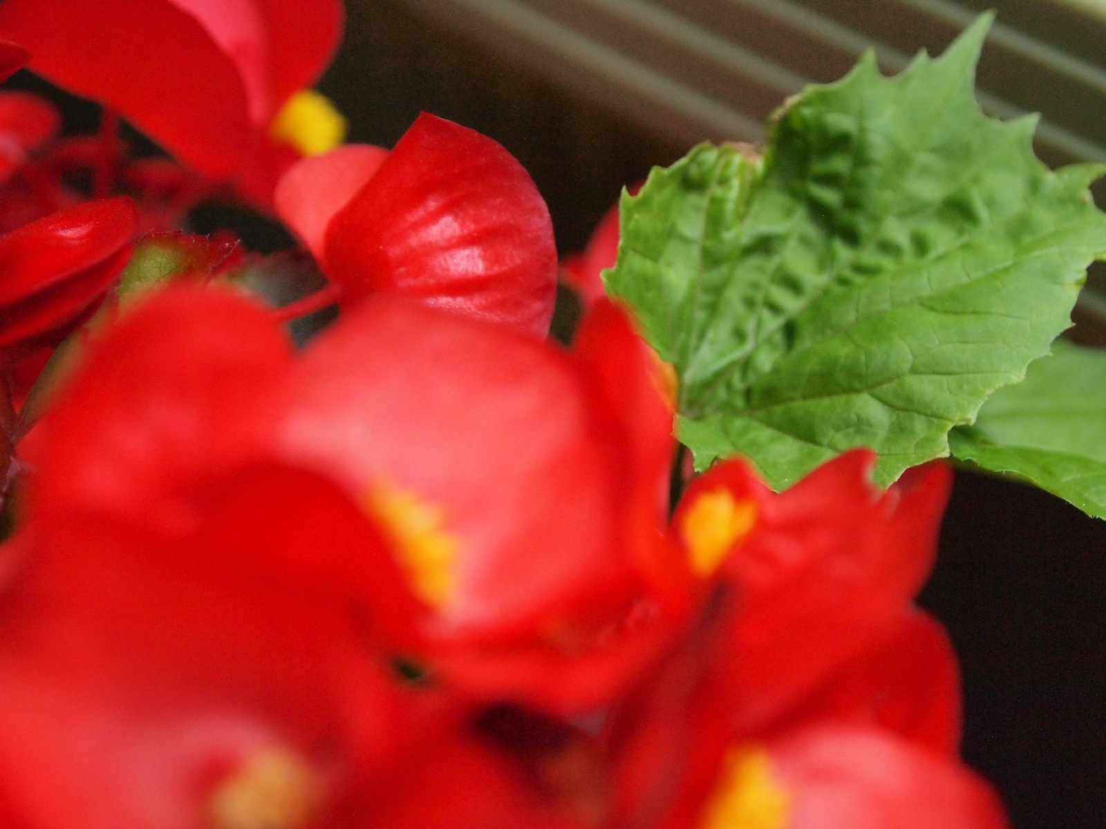 Thumbnail of post image 037