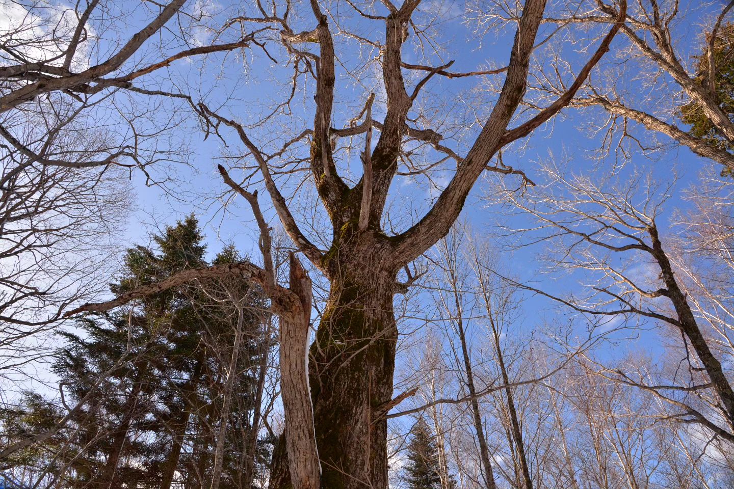 Thumbnail of post image 024