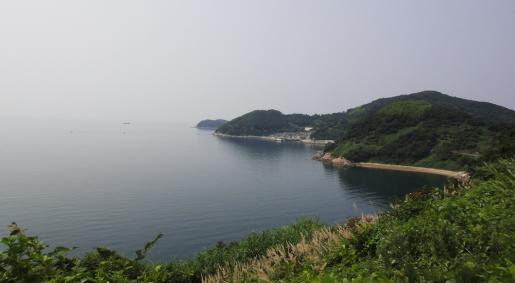 DSC01472.jpg