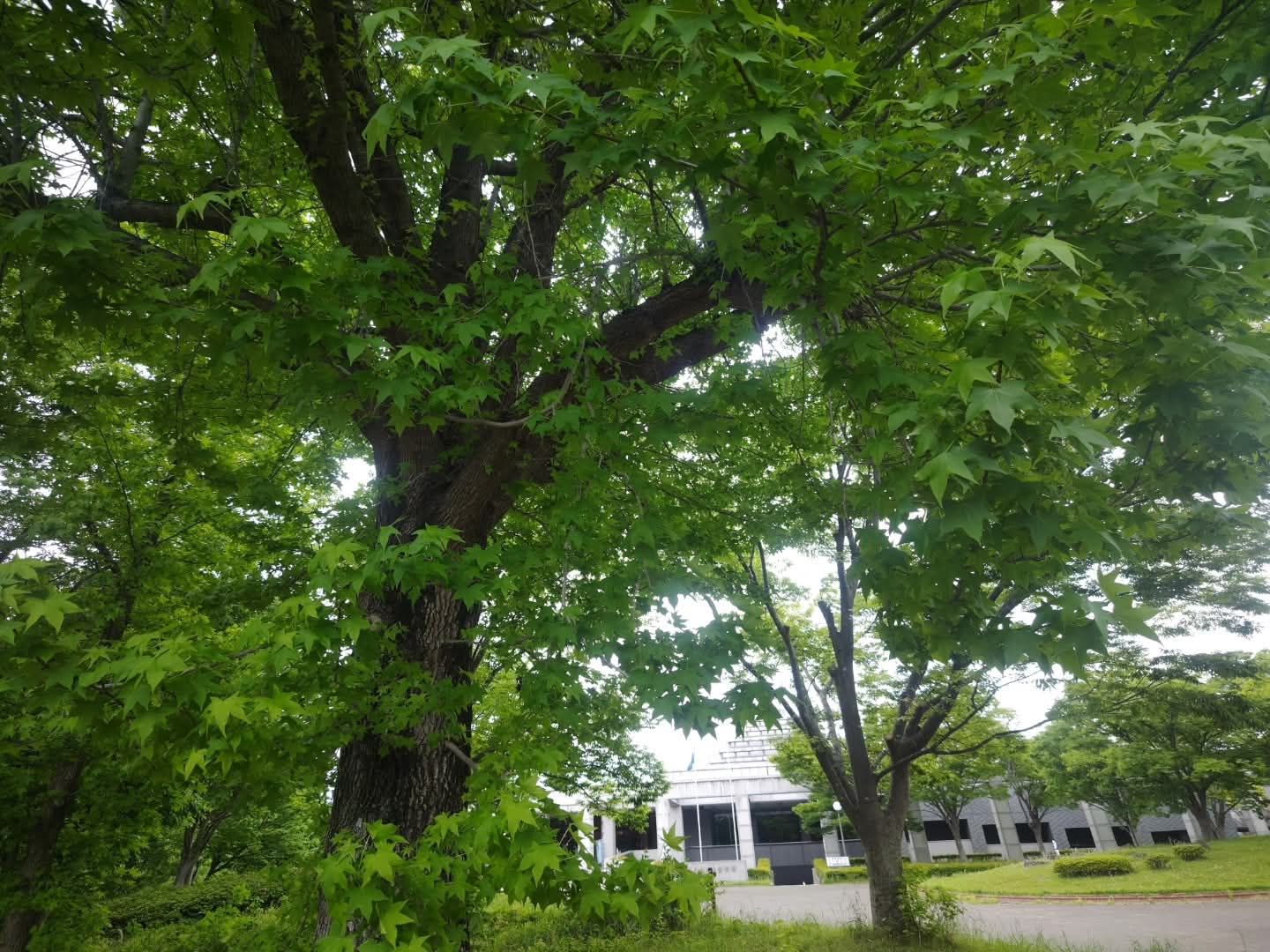 Thumbnail of post image 041