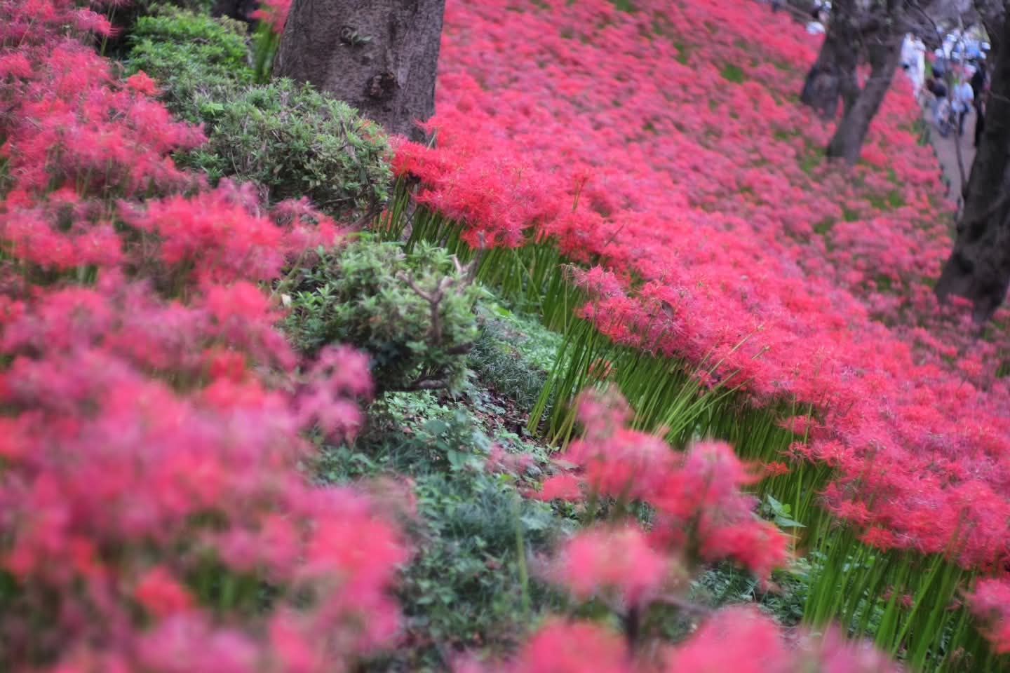 Thumbnail of post image 030