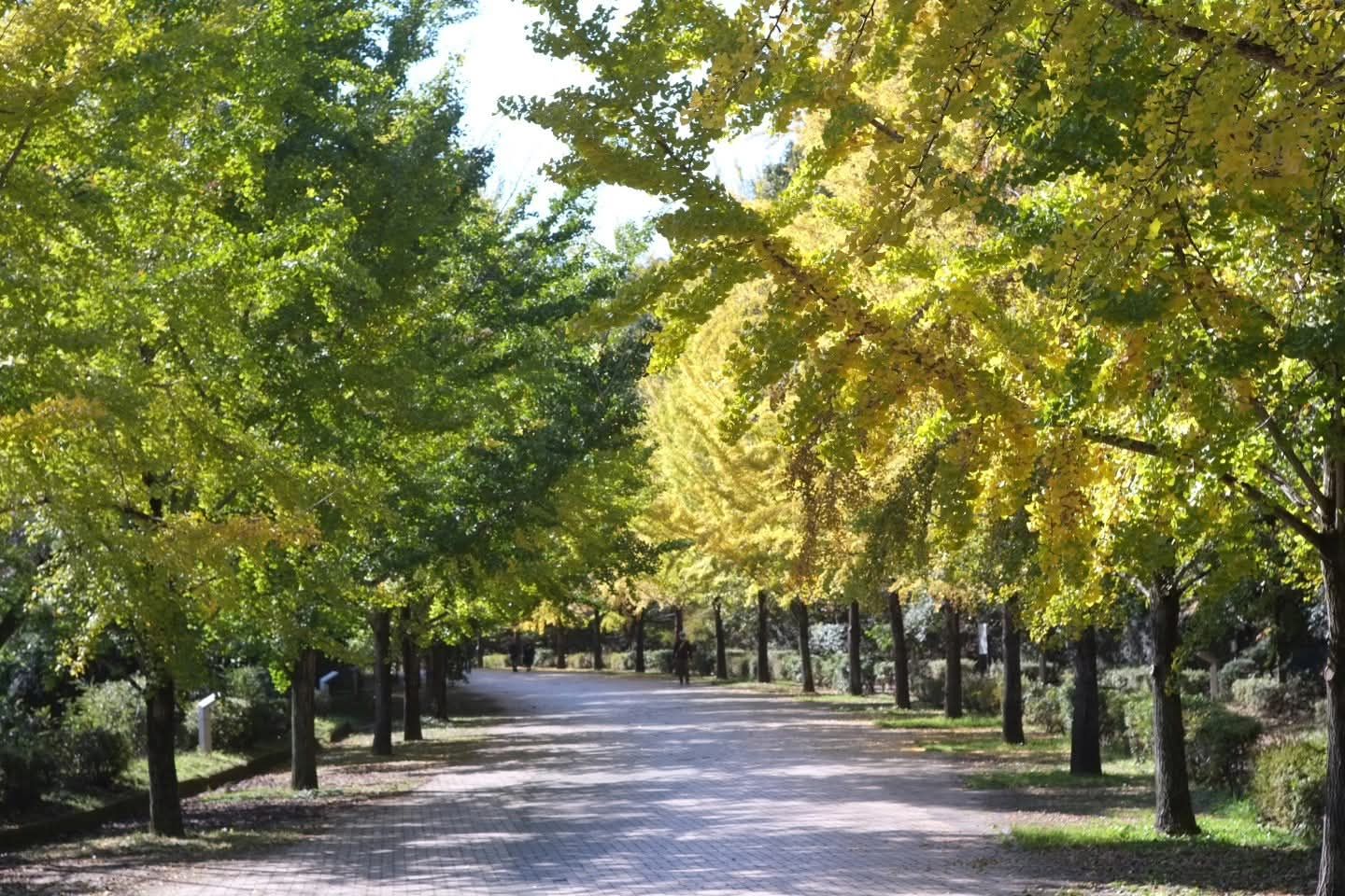 Thumbnail of post image 169