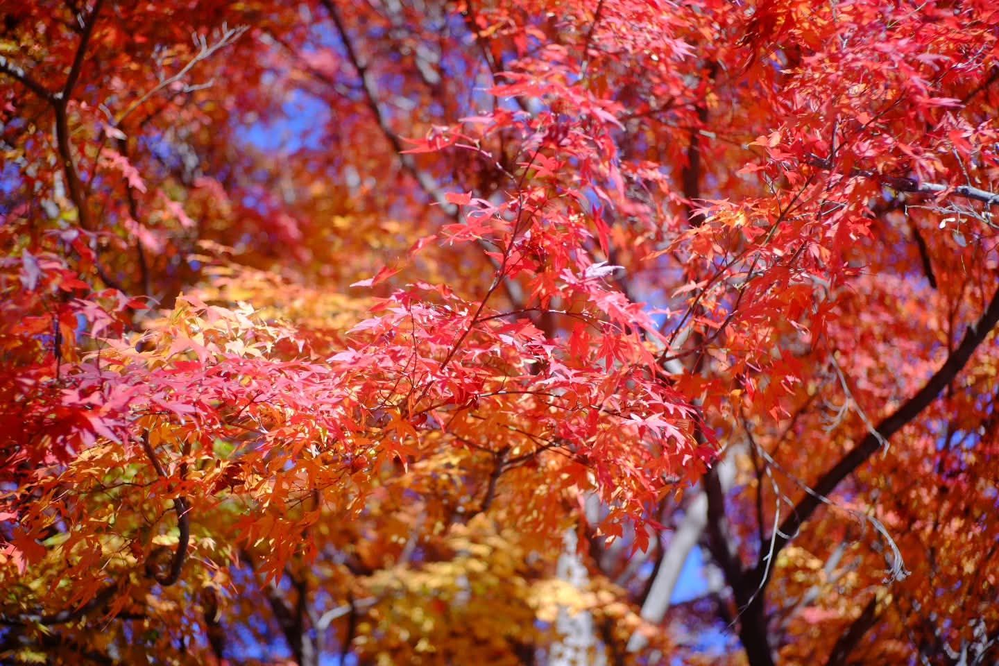 Thumbnail of post image 164