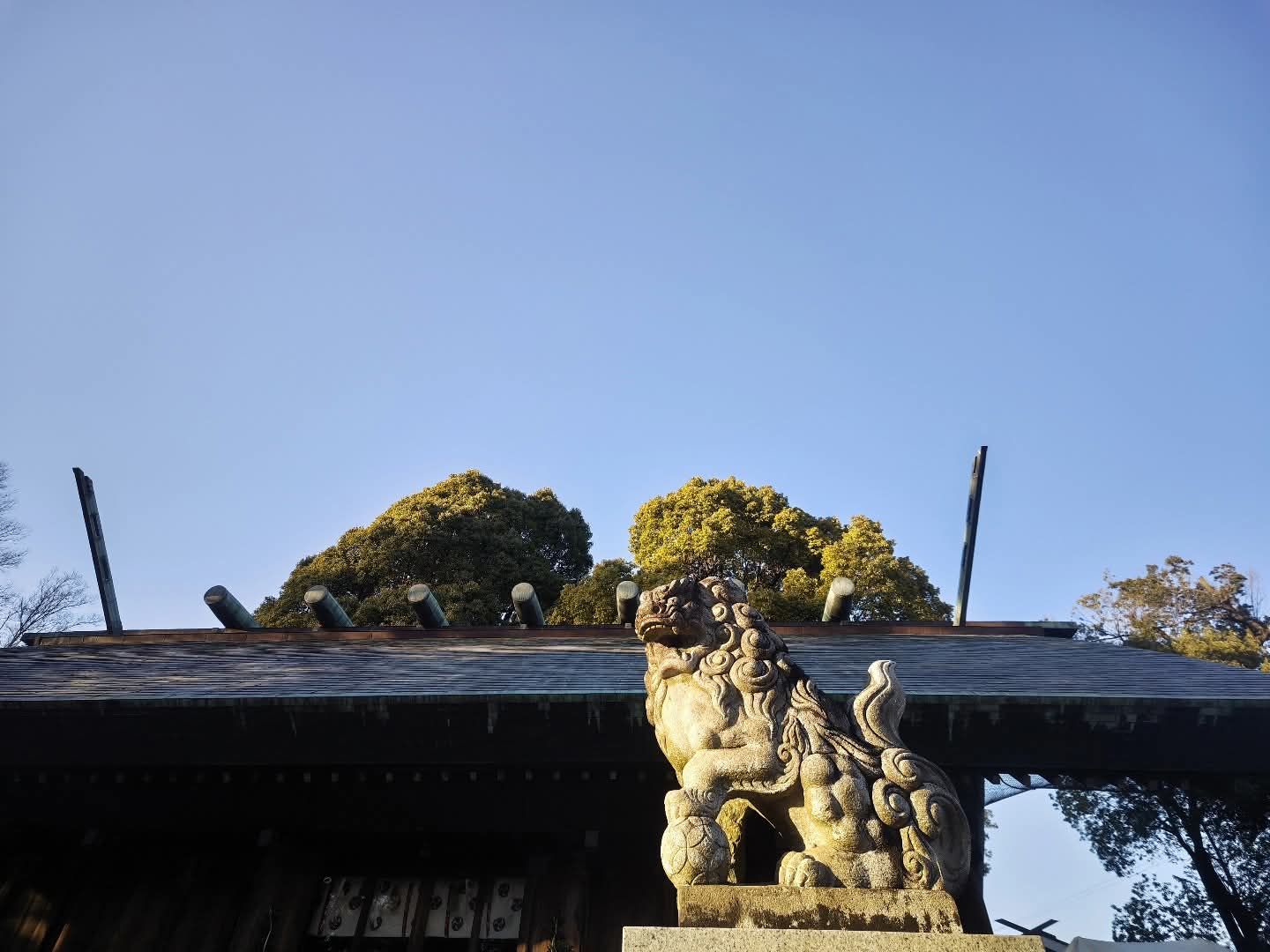 Thumbnail of post image 120