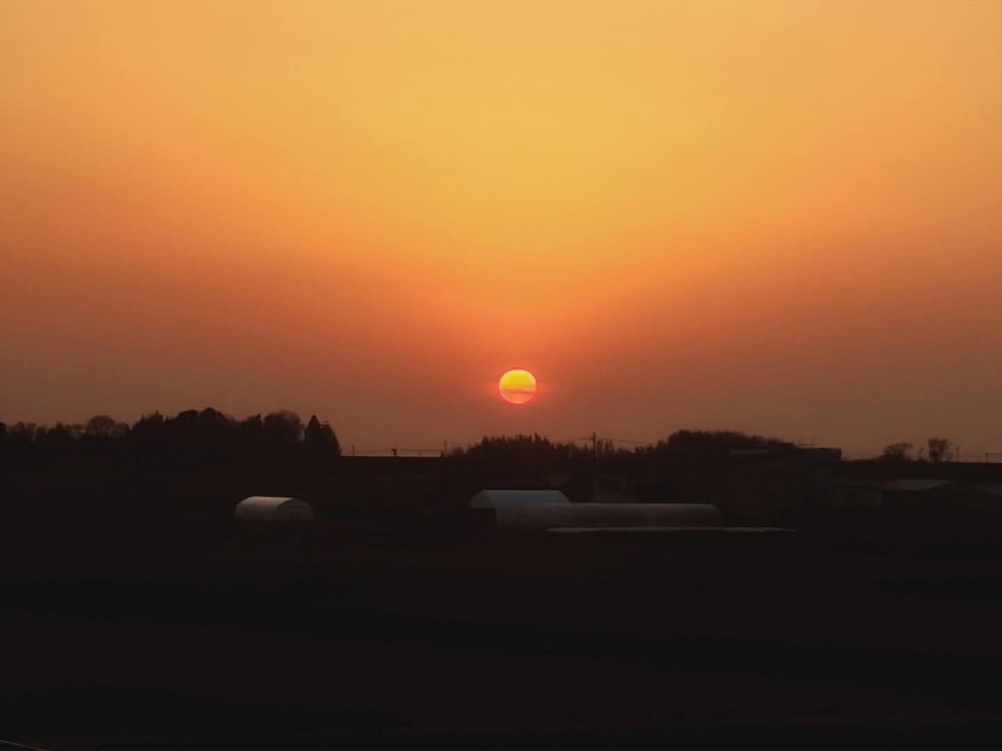 Thumbnail of post image 010