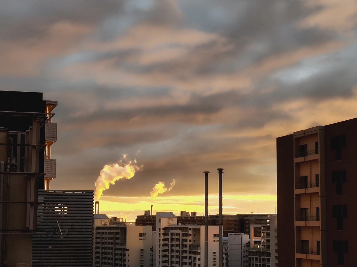 Thumbnail of post image 020