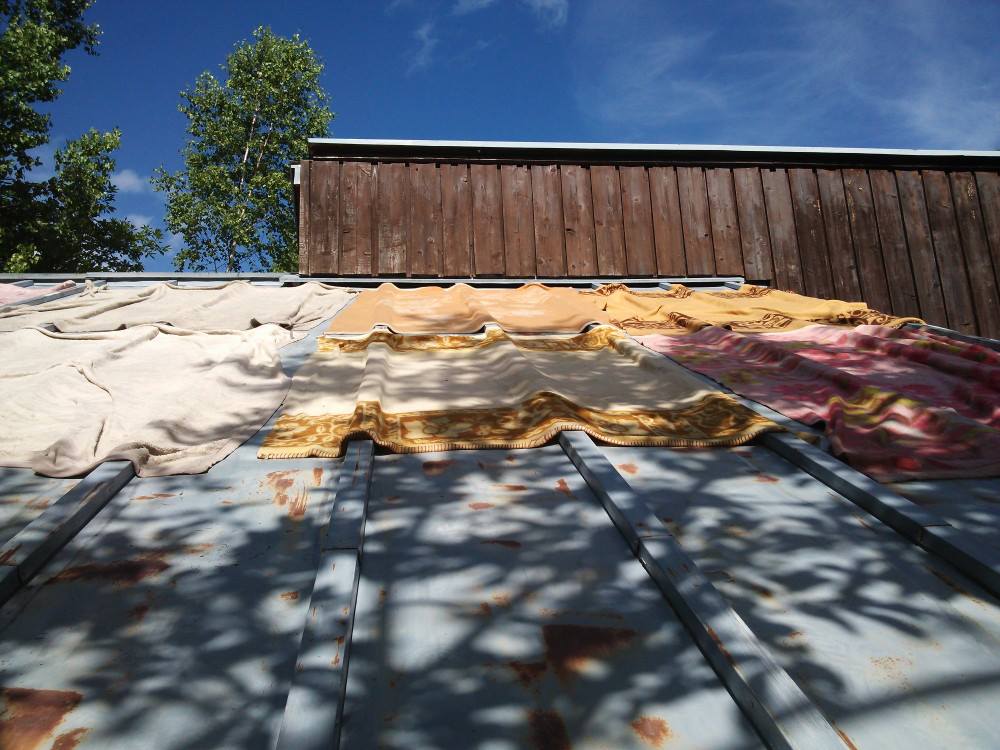 Thumbnail of post image 009