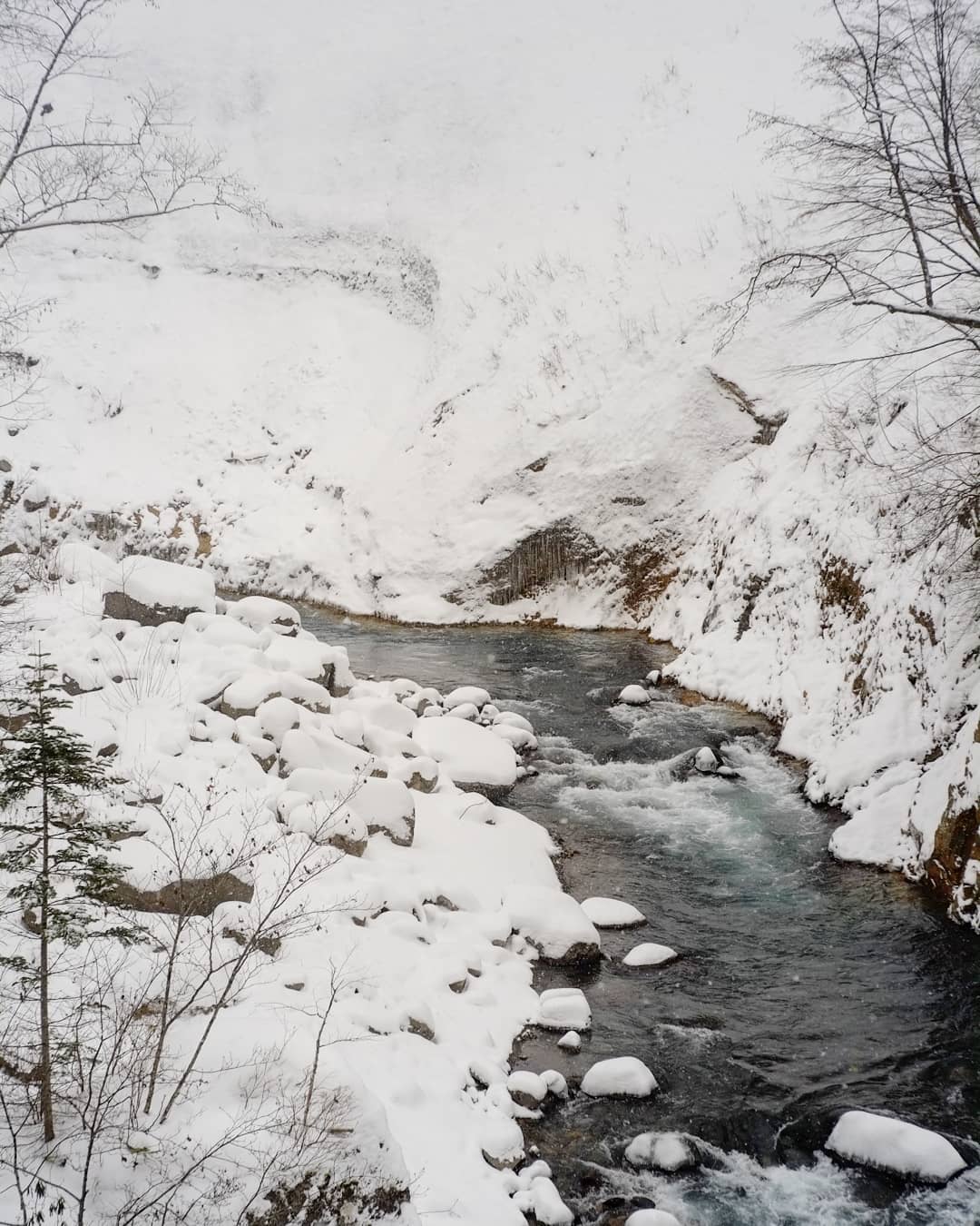 Thumbnail of post image 028