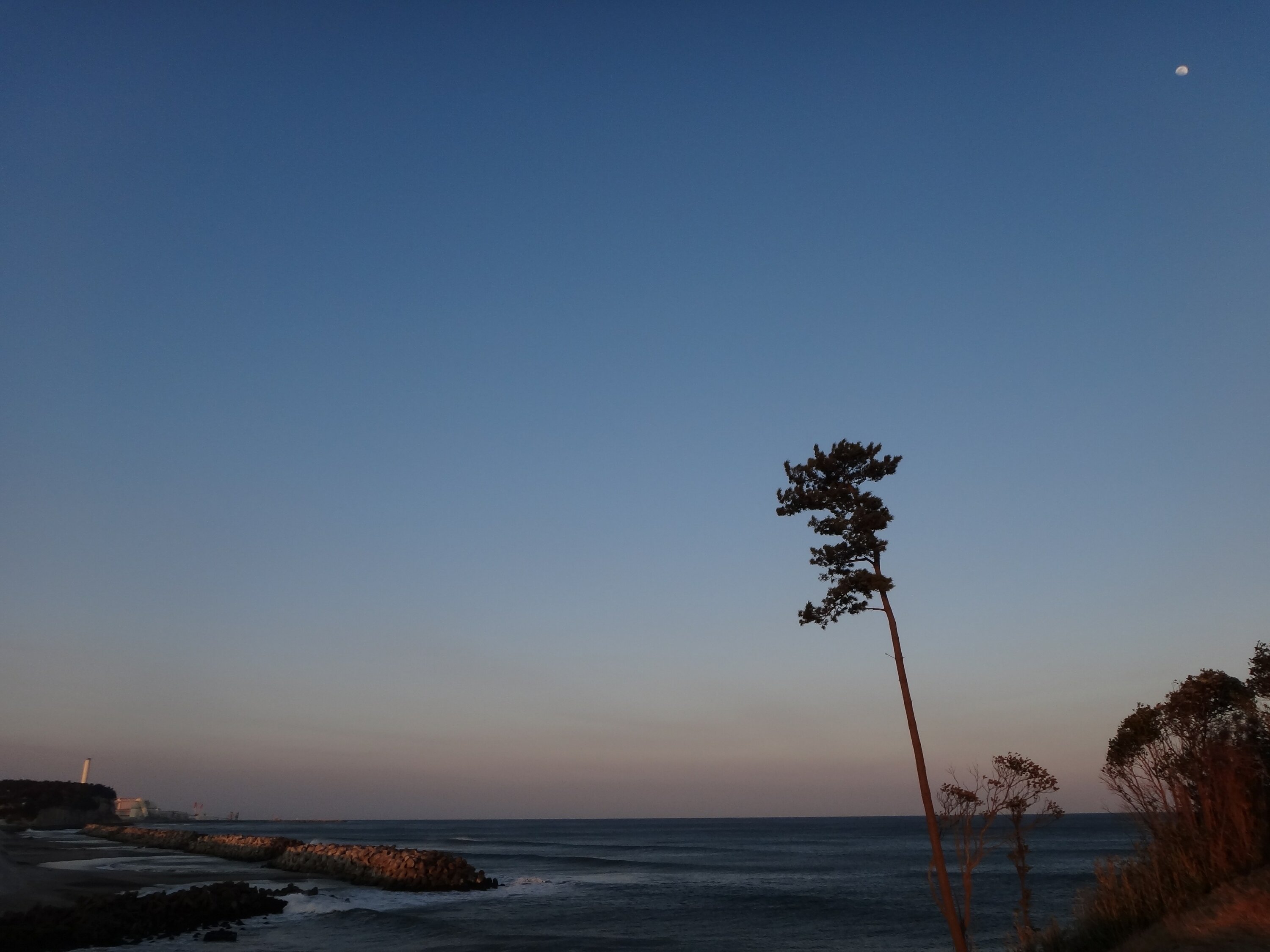 Thumbnail of post image 049