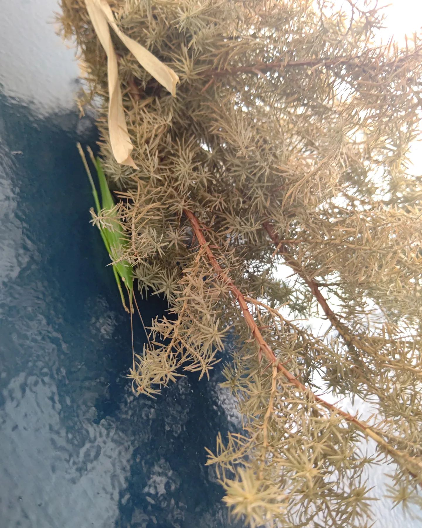 Thumbnail of post image 027