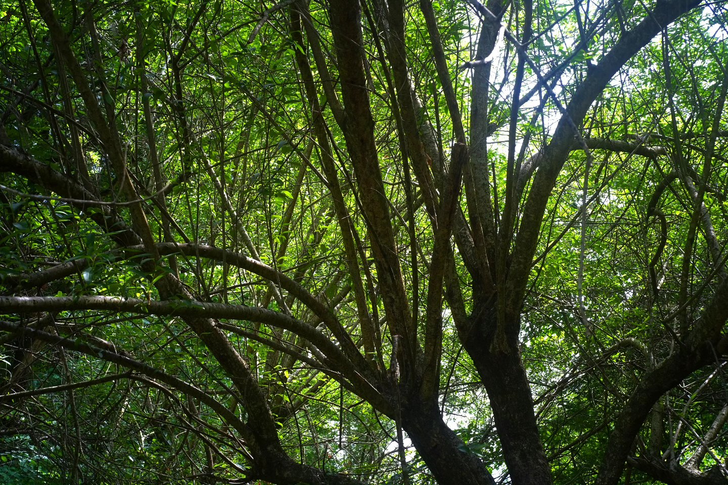 Thumbnail of post image 033