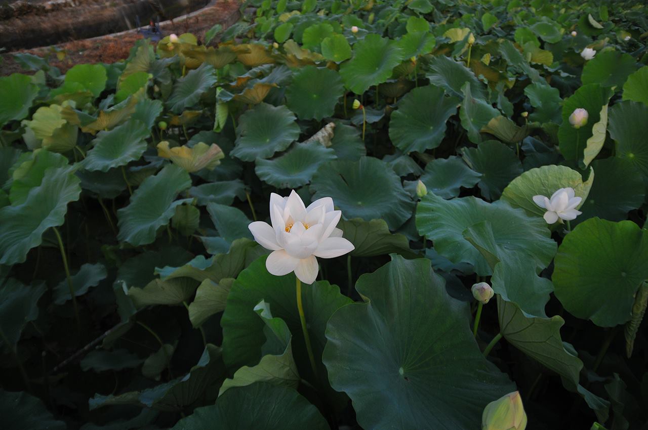 Thumbnail of post image 033